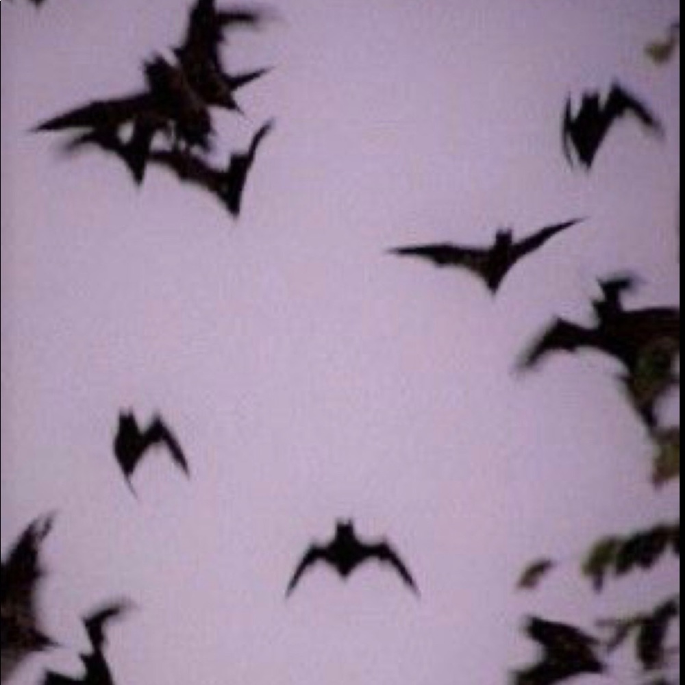 Vampire diaries mystery box✨